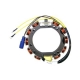 Original de Johnson/Evinrude (période 1988-1997) stator 85 t/m 115CV : 583340, 583536