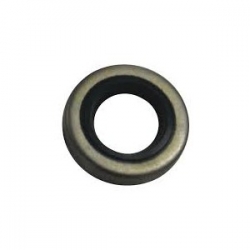 NR21 - Oil seal 321481 