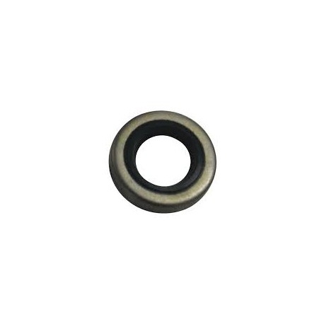 NR21 - Oil seal 321481 