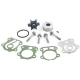 Complete water pump kit Yamaha 60 HP model E60 (year 2000)