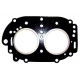 677-11181-A1 head gasket Yamaha outboard