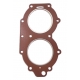 6F5-11181-A1 head gasket Yamaha outboard