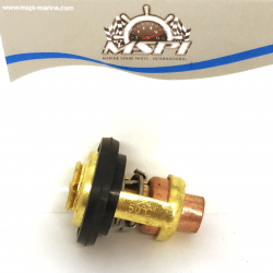 69 m-12411-01 thermostat Yamaha outboard