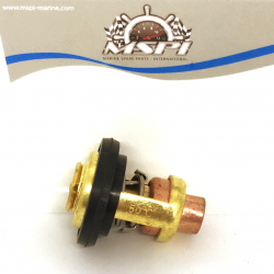 69 m-12411-01-00 thermostat Yamaha outboard