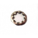 Nr.49 - 92990-06300 Borgring | Washer internal tooch buitenboordmotor