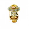 Thermostat kit Yamaha 6F5-12411-03